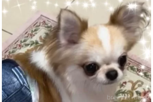 炭治郎くん1枚目